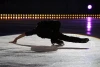 Stéphane Lambiel "In Your Eyes"